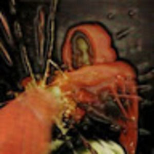 Meet your Posher, Rob